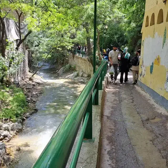 داوطلبانه|فعالیت داوطلبانه|تهران, امیریه|دیوار