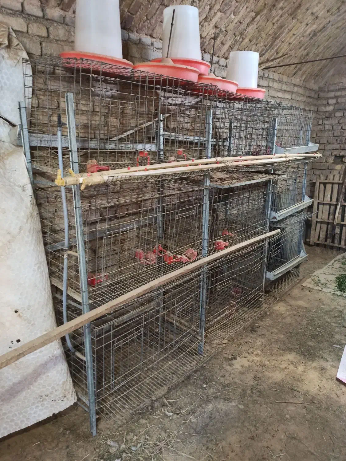 قفس مرغ تخمگذار|حیوانات مزرعه|فردوس (خراسان), |دیوار
