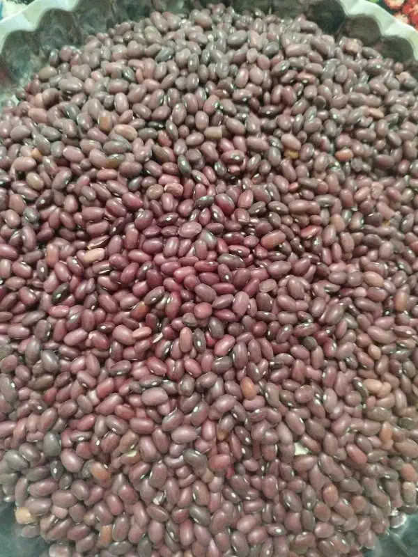 فروش لوبیاقرمز|خوردنی و آشامیدنی|رزن, |دیوار