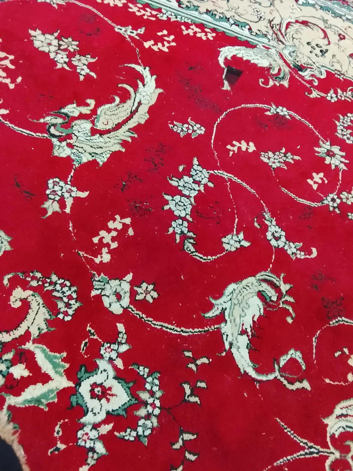 قالی قرمز|فرش|شیروان (خراسان), |دیوار