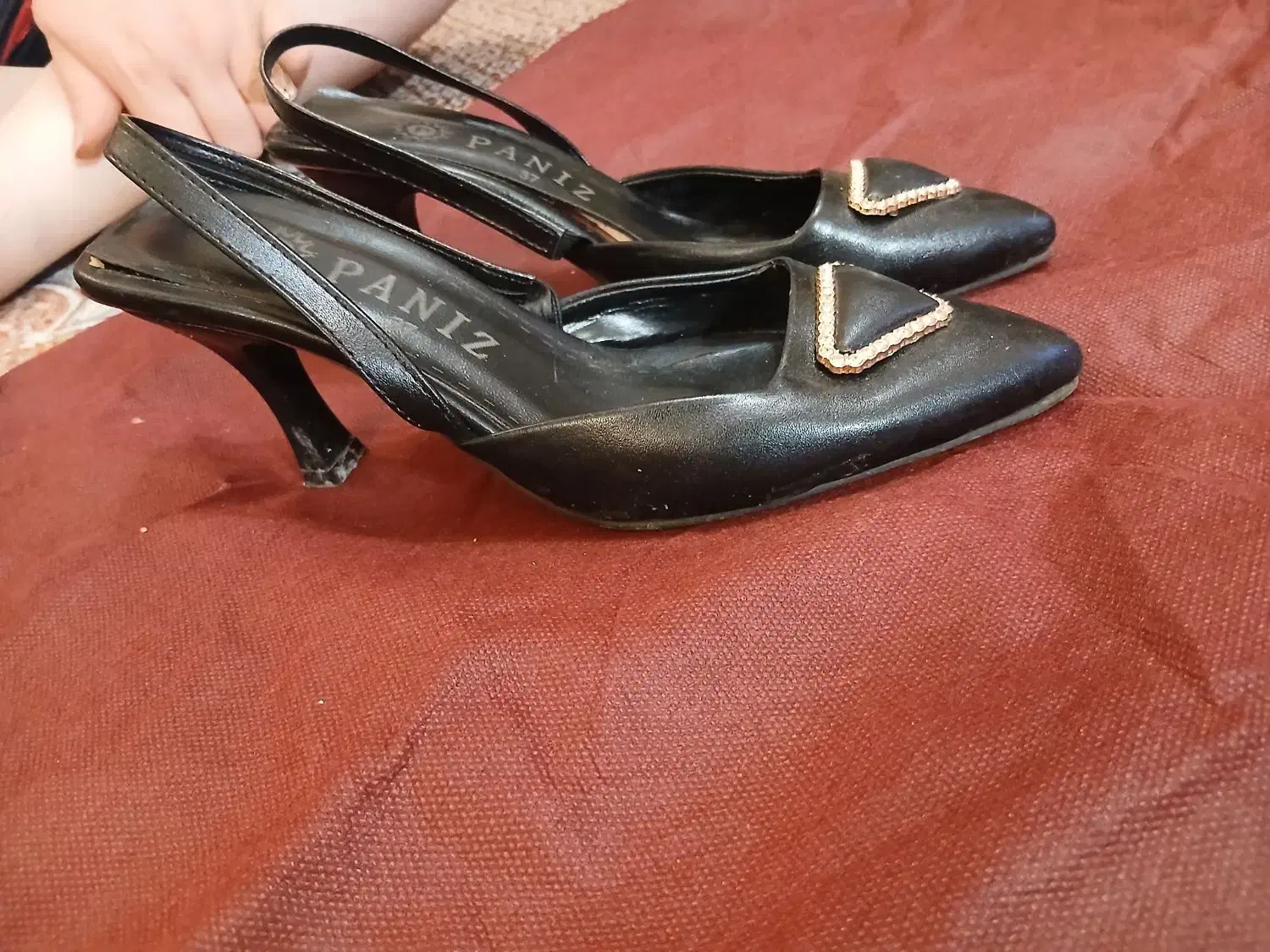 کفش|کیف، کفش، کمربند|اردبیل, |دیوار