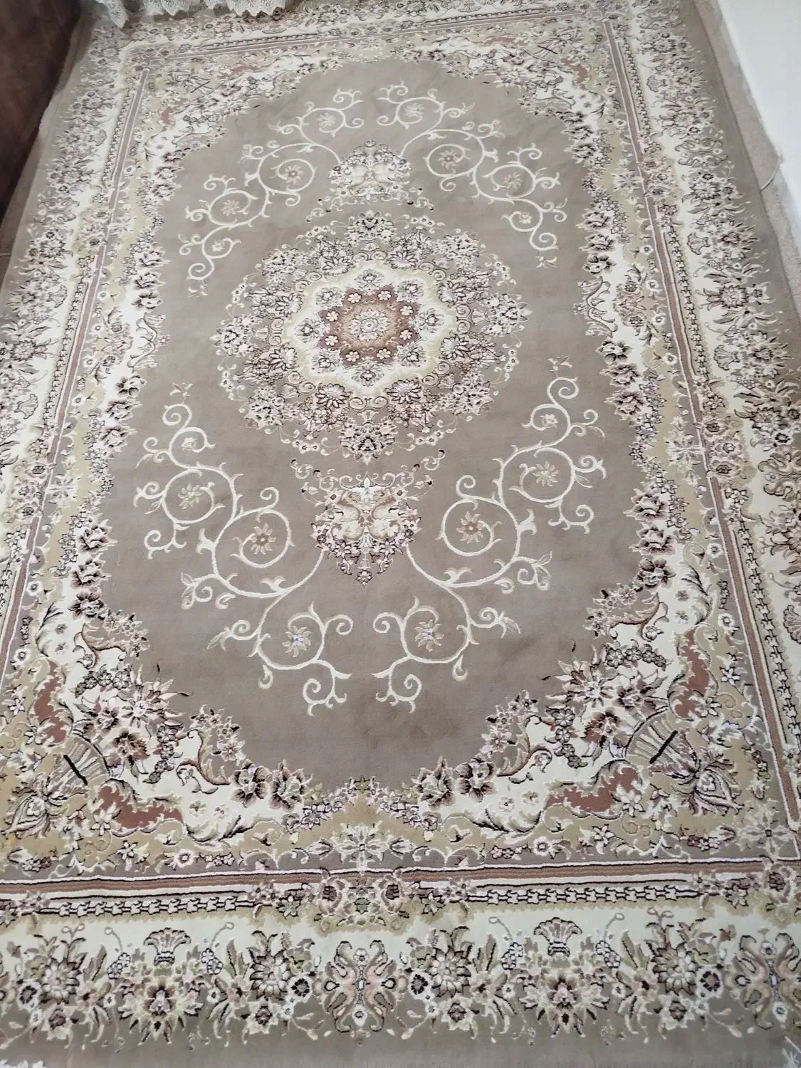 فرش نه متری|فرش|رشت, حمیدیان|دیوار