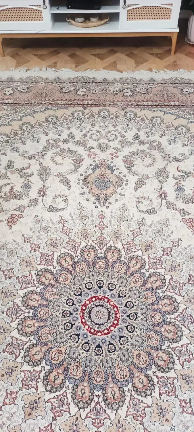 قالی ۱۲متری کرم|فرش|گالیکش, |دیوار