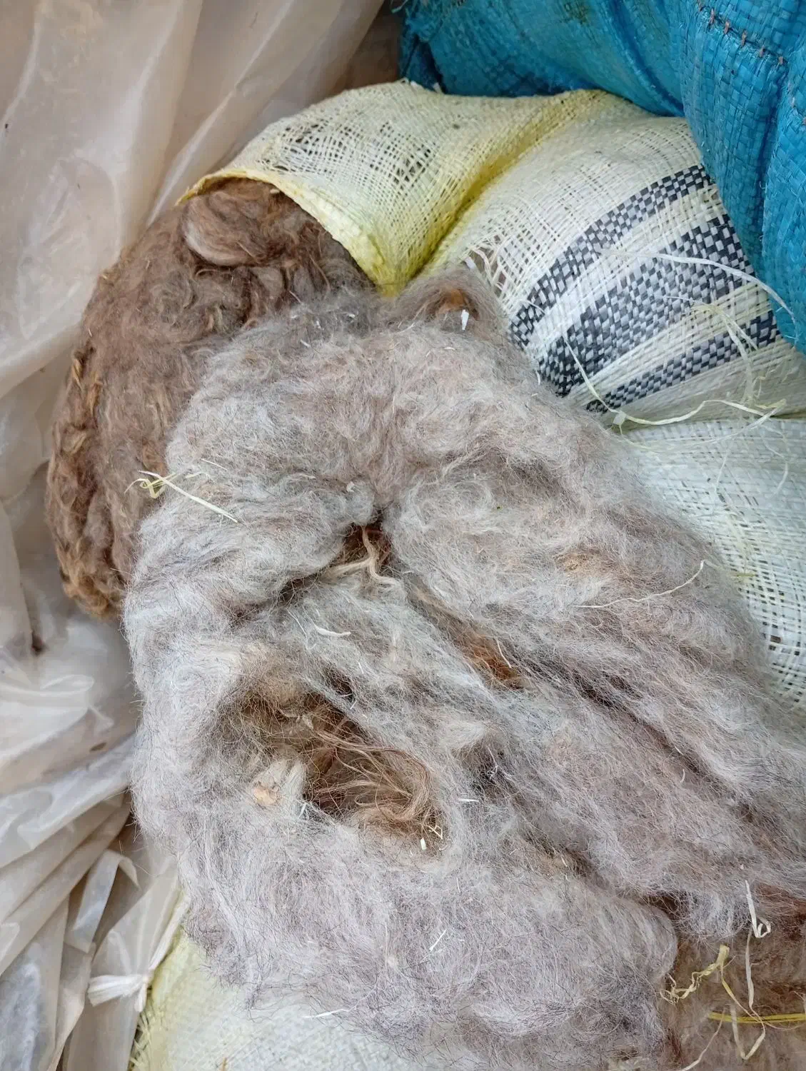 پشم‌گوسفندی|رختخواب، بالش، پتو|مرند, |دیوار