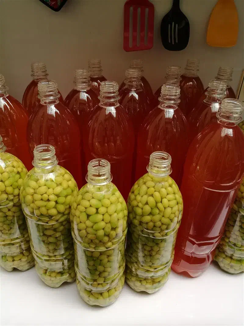 سبزی و ترشی خانگی شوید تازه|خوردنی و آشامیدنی|شاهدشهر, |دیوار