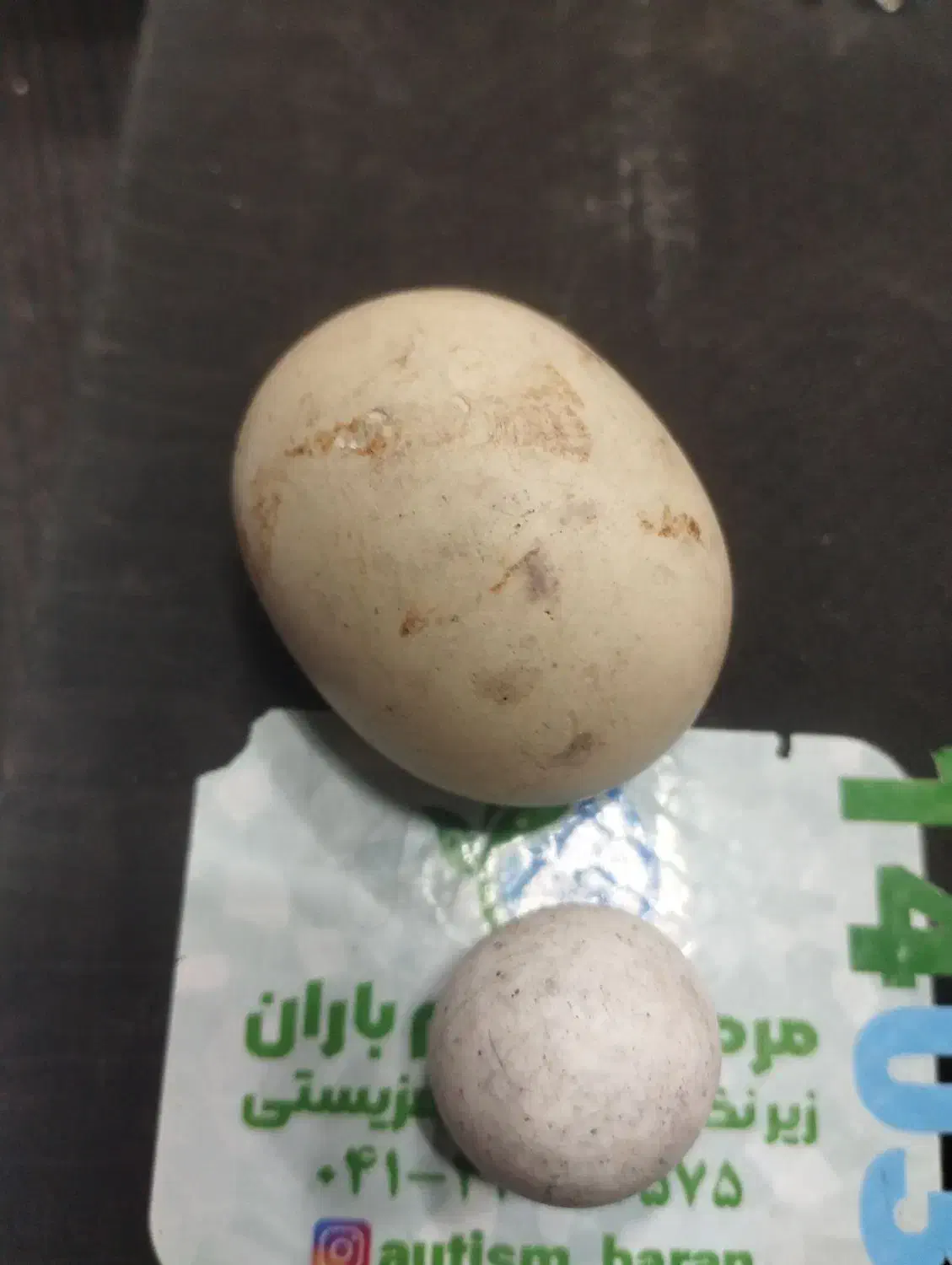 سنگ الماس اسیاب دو عدد|کلکسیون اشیاء عتیقه|مرند, |دیوار