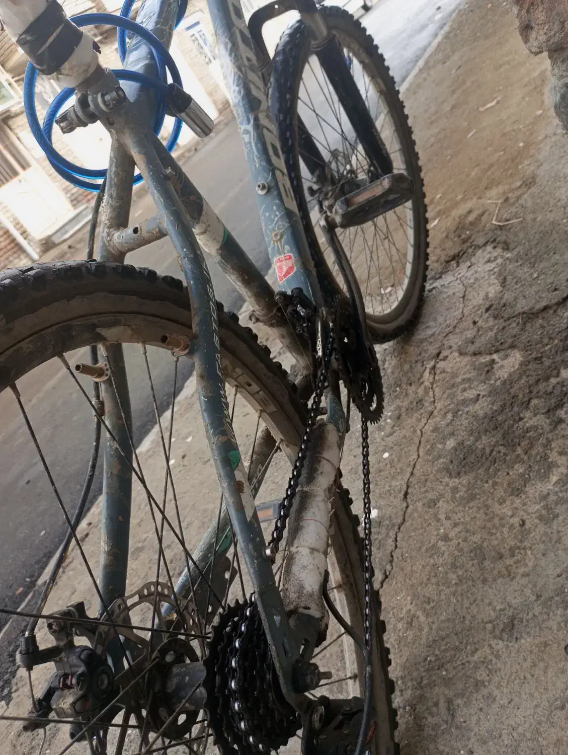 دوچرخه بونیتو|دوچرخه، اسکیت، اسکوتر|صومای برادوست, |دیوار