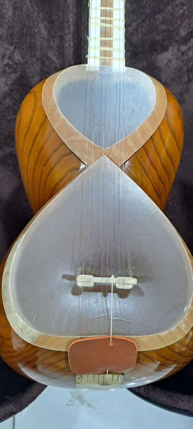 تار کاملا نو بدون استفاده|سازهای سنتی|قائمشهر, |دیوار