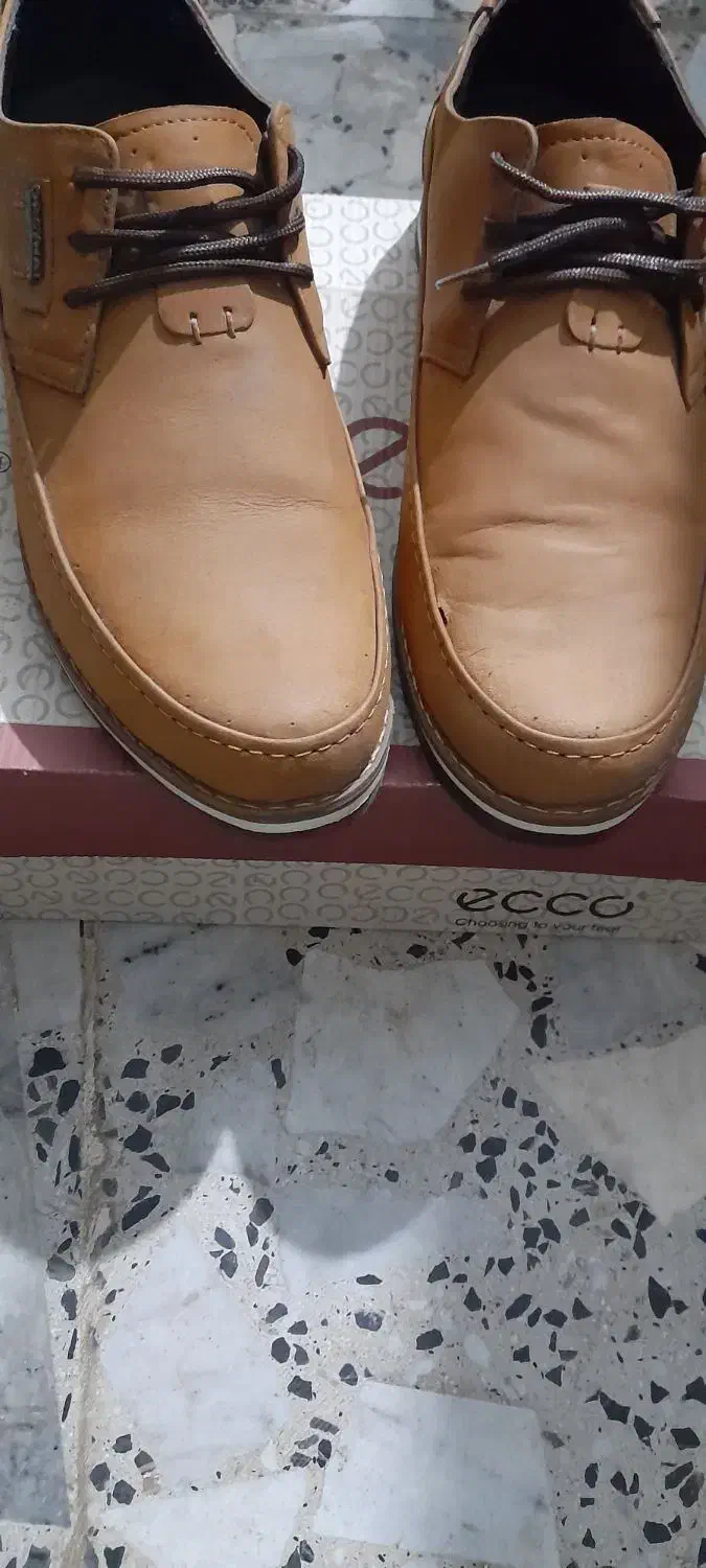 کفش نبوک سایز43کیفیت عالی|کیف، کفش، کمربند|شفت, |دیوار