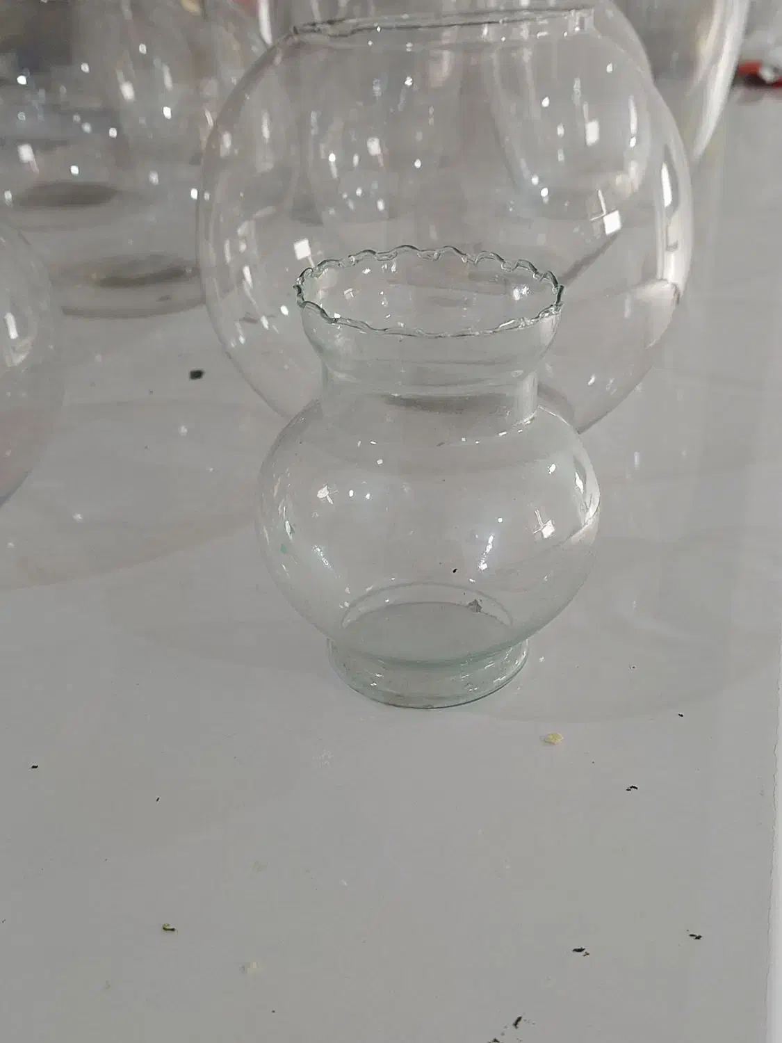 تنگ و اکواریوم|ماهی|بندرعباس, |دیوار