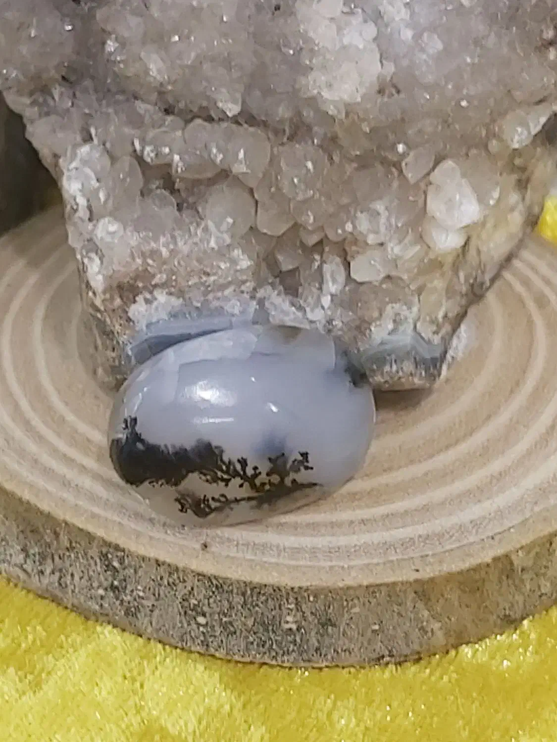 شجر زیبا منظره|بدلیجات|کرمانشاه, |دیوار