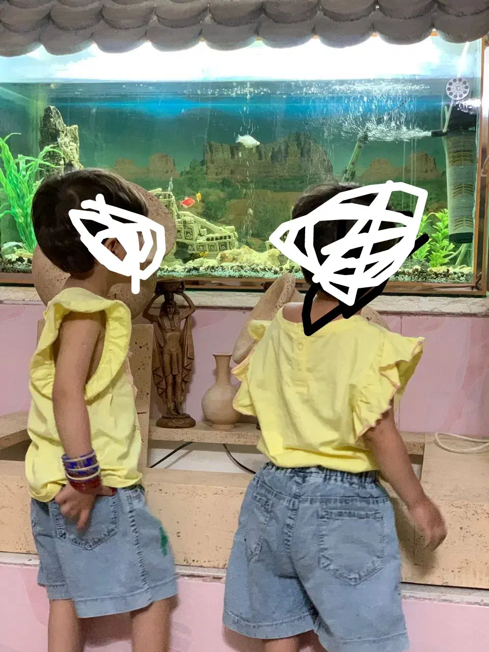 آکواریوم با تمام تجهیزات به فروش میرسد|ماهی|سراوان, |دیوار