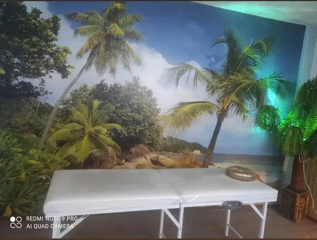 تخت پرتابل درحد نو|آرایشگاه و سالنهای زیبایی|تهران, افسریه شمالی|دیوار