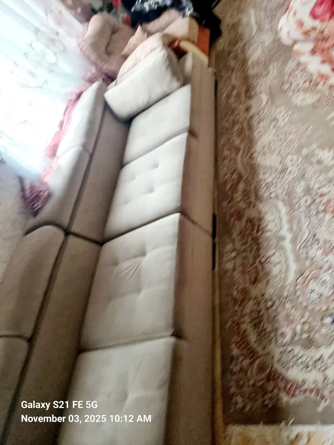 مبلمان ال شش نفره همراه با شزلون و کوسن|مبلمان خانگی و میز عسلی|رشت, کاکتوس|دیوار