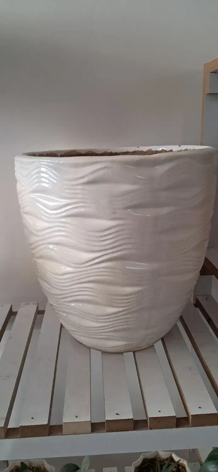 گلدان سرامیکی|گل و گیاه طبیعی|بیرجند, |دیوار