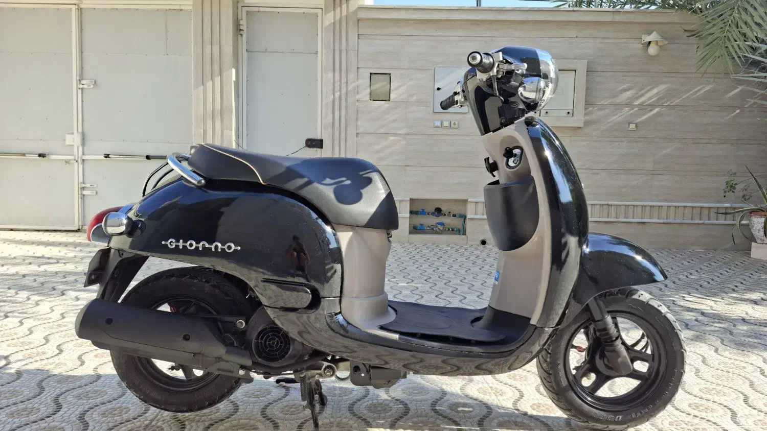 هوندا گرینو کاملا سالم|موتورسیکلت|لامرد, |دیوار