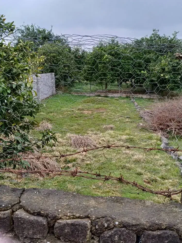 زمین ۱۵۰ متری داخل بافت|فروش زمین و ملک کلنگی|ارطه, |دیوار