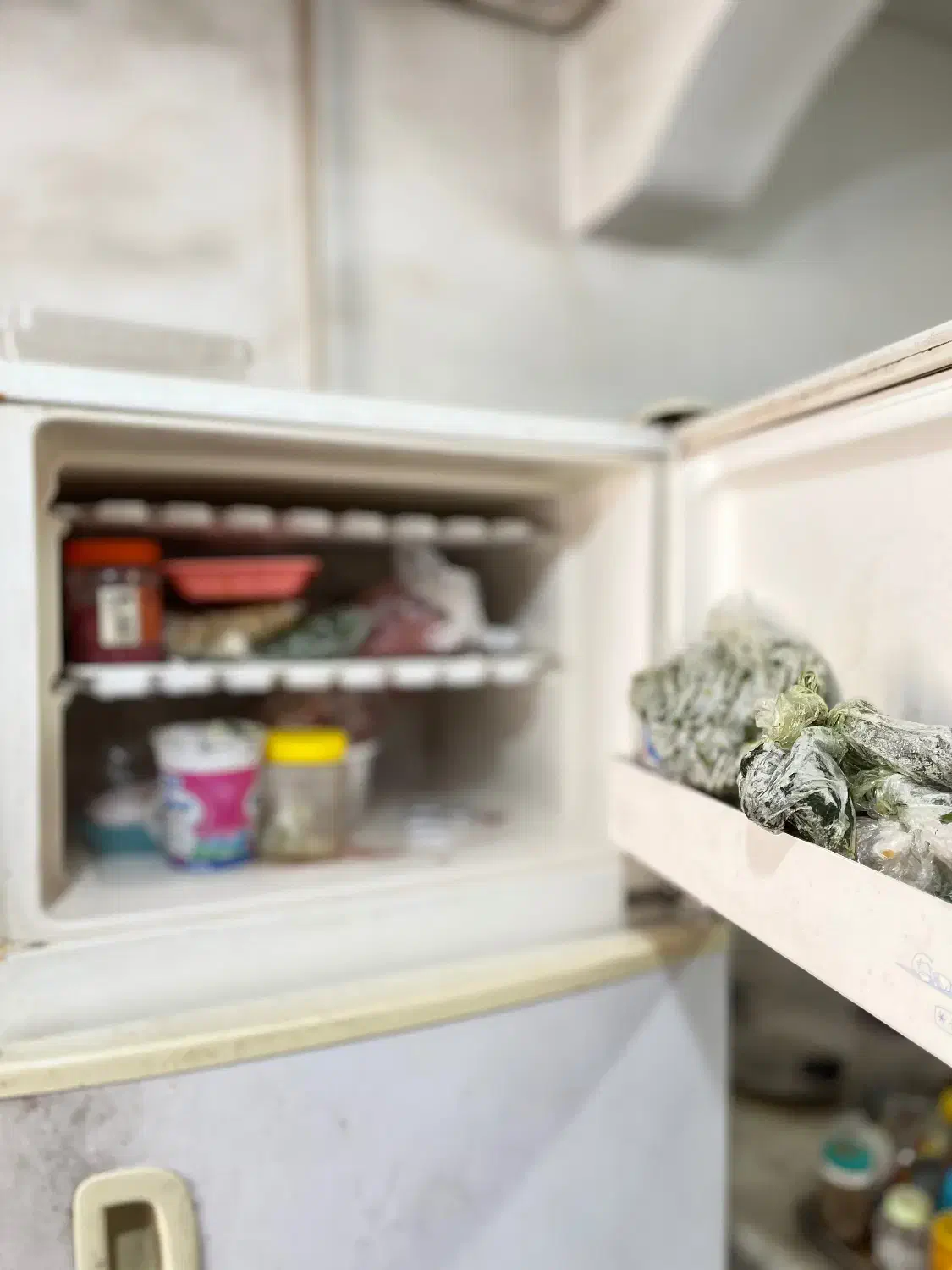 یخچال و فریزر|یخچال و فریزر|رشت, حمیدیان|دیوار