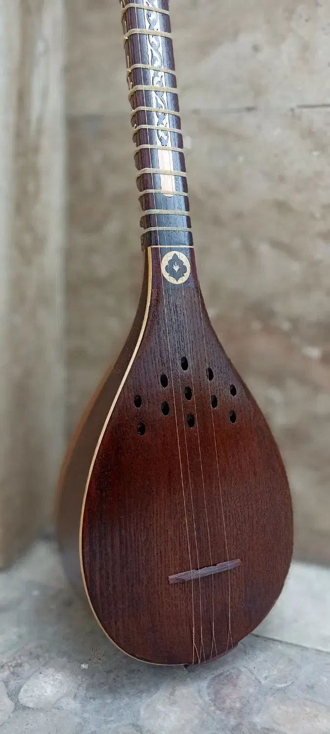 سه تار انوشیروان|سازهای سنتی|رشت, حسین آباد|دیوار