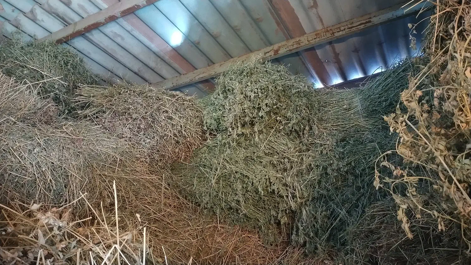 یونجه خالص|لوازم جانبی حیوانات|جلفا, |دیوار