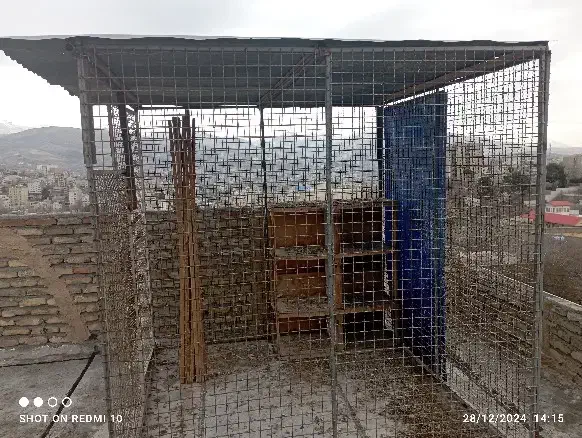 قفس کبوتر مرغ خروس وسگ|لوازم جانبی حیوانات|بومهن, |دیوار