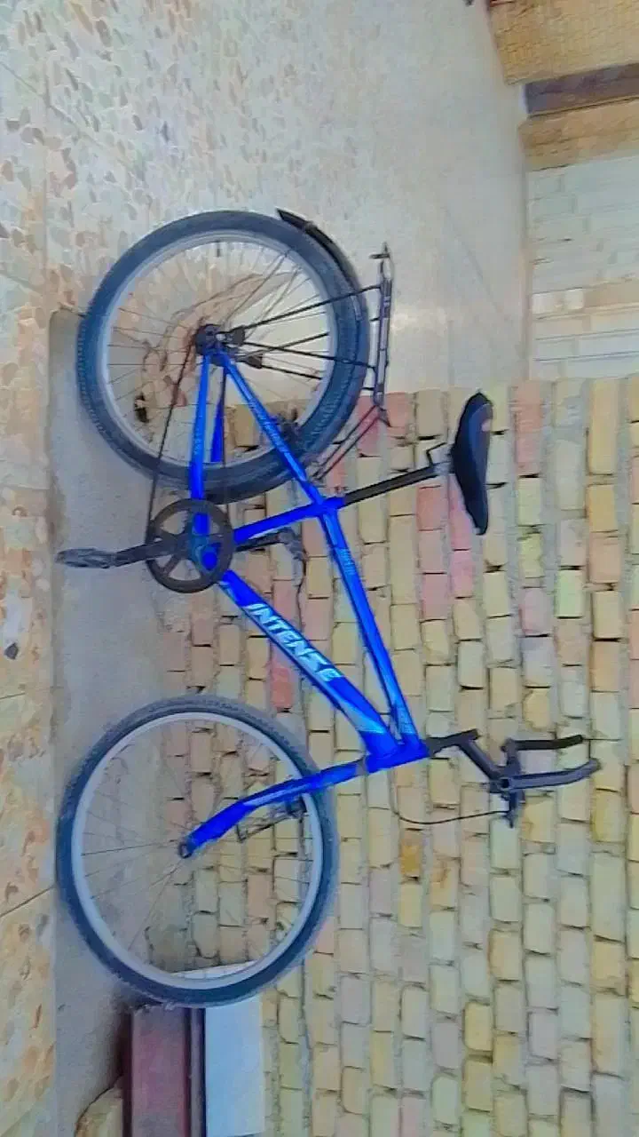 دوچرخه|دوچرخه، اسکیت، اسکوتر|حمیدیه, |دیوار