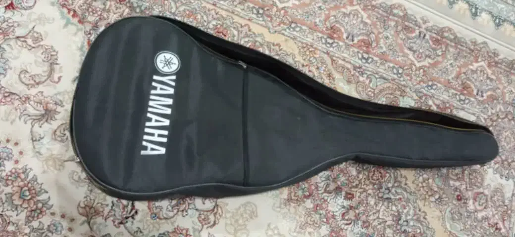 گیتار نو نو استفاده نشده|گیتار، بیس، امپلیفایر|مشهد مرغاب, |دیوار