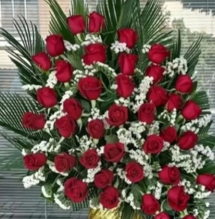 گل رز هلندی|گل و گیاه طبیعی|قم, چهار امامزاده|دیوار