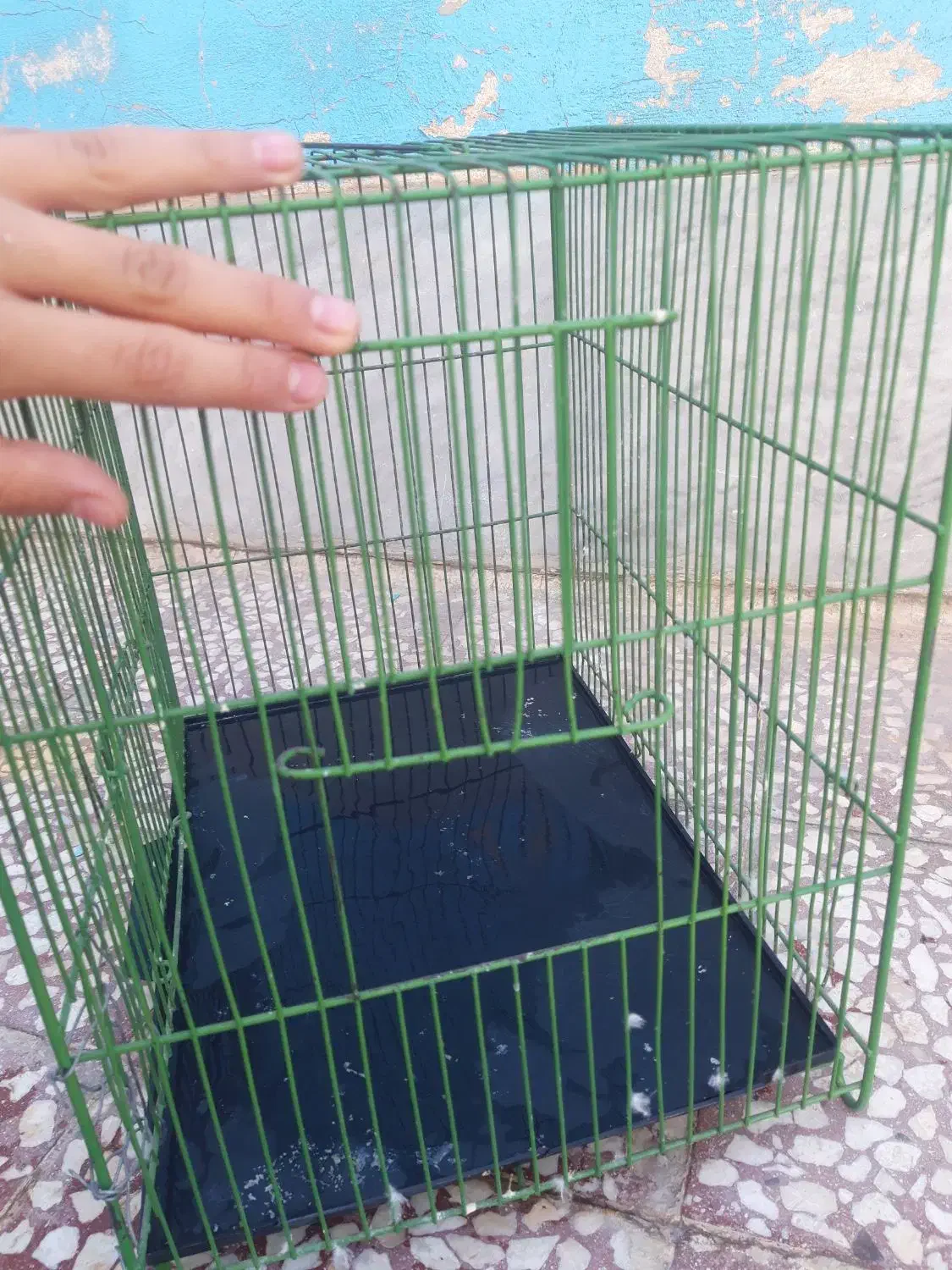 قفس درحدنو توضیحات را بخون|لوازم جانبی حیوانات|قم, شهرک امام حسن|دیوار