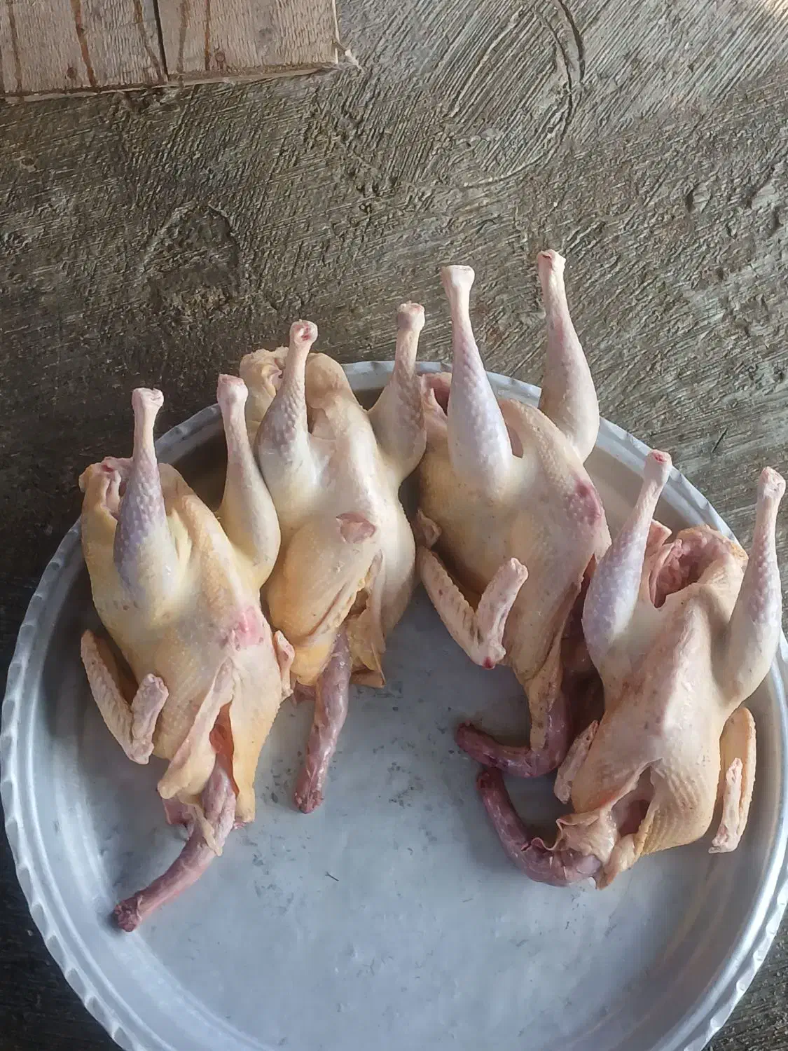 بوقلمون و اردک اسرائیلی|حیوانات مزرعه|تالش, هشتپر|دیوار