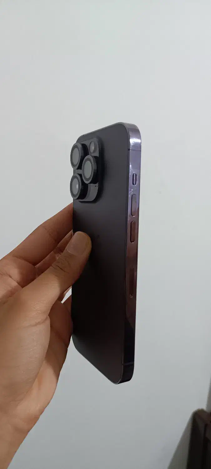 ایفون ۱۴پرو|موبایل|شیراز, گل سرخ|دیوار