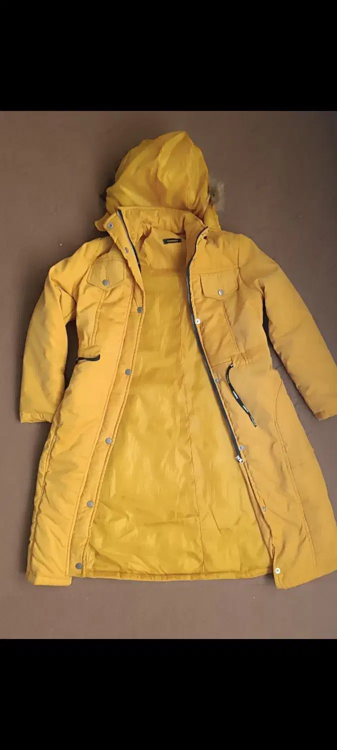 پالتو|لباس|فامنین, |دیوار