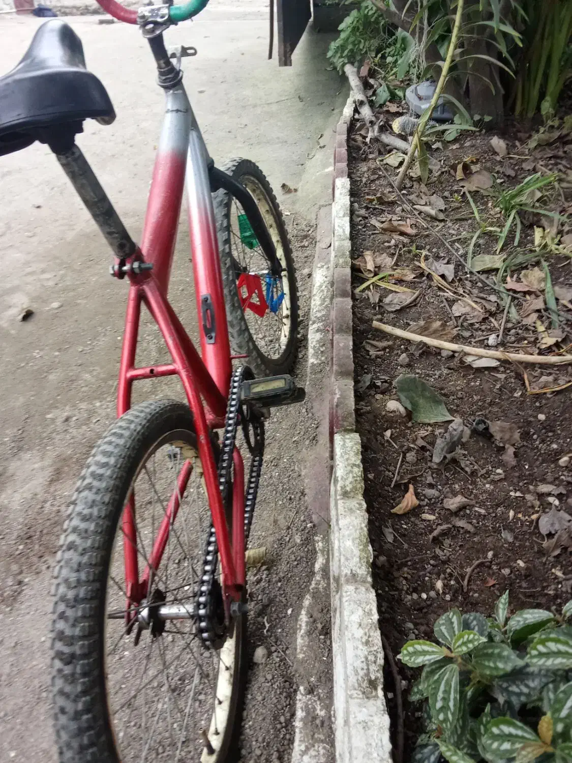 دوچرخه 20|دوچرخه، اسکیت، اسکوتر|چوبر, |دیوار