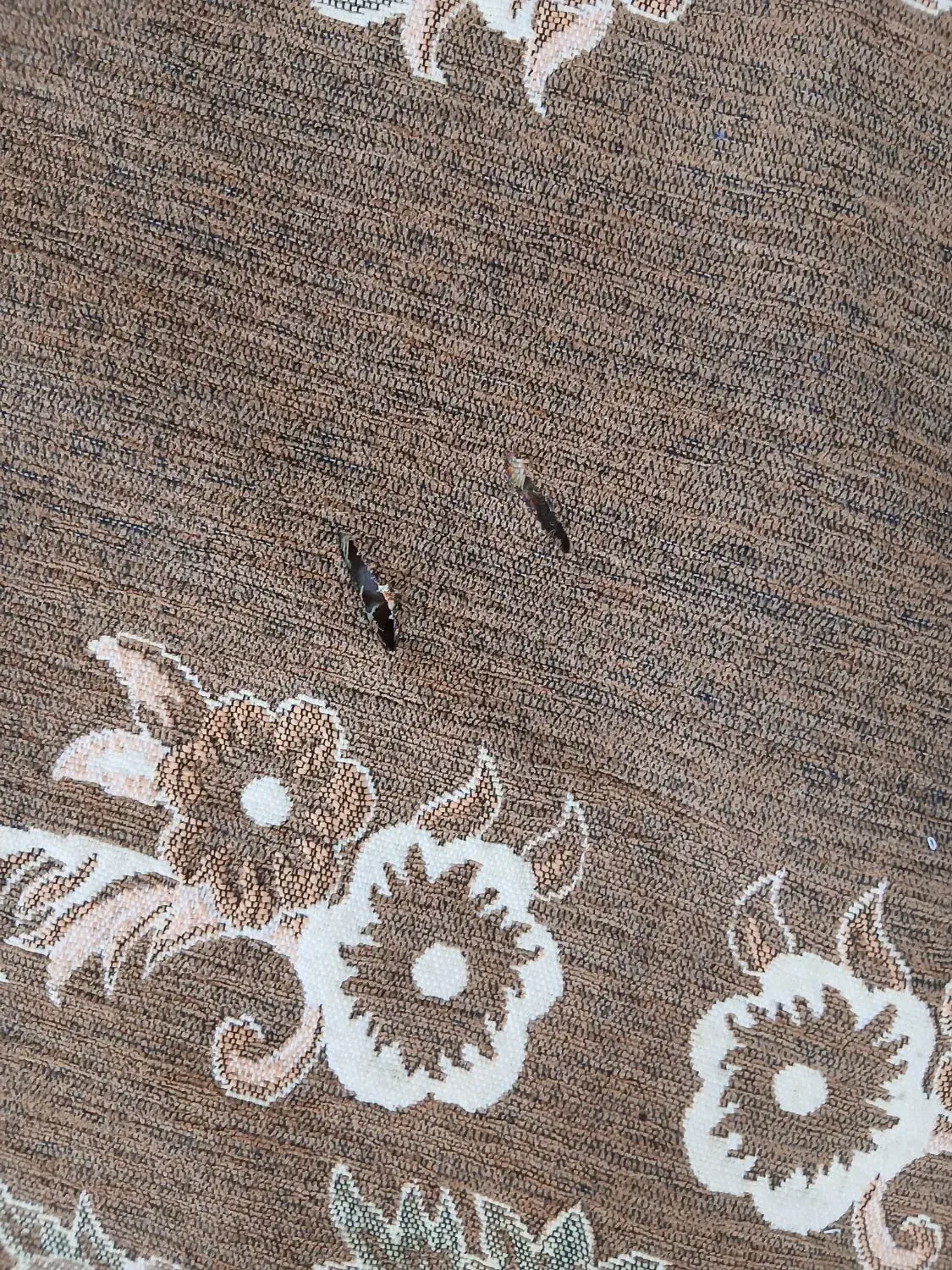 روفرشی ۹ متری|روفرشی|اسلام‌‌آباد غرب, |دیوار