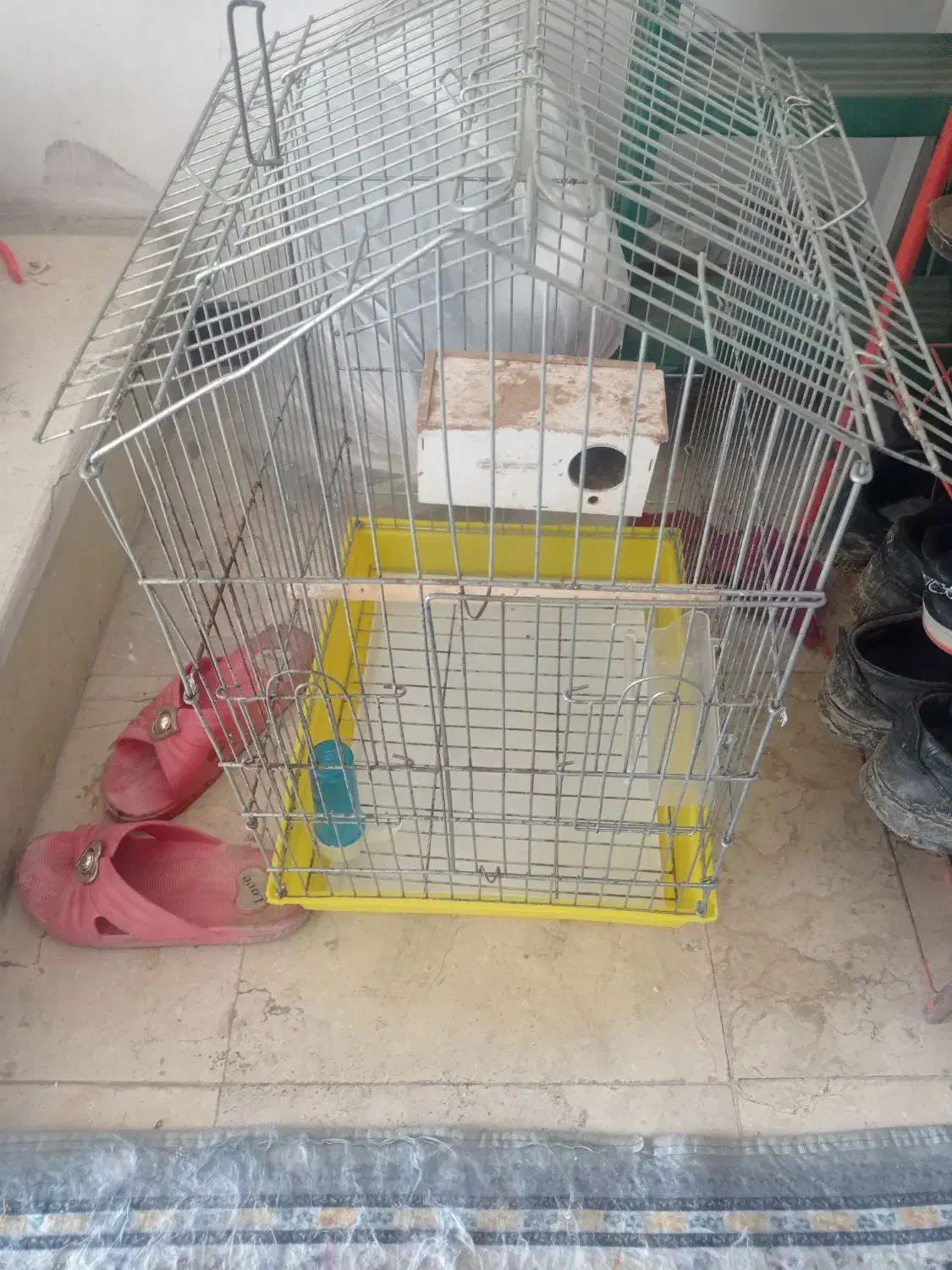 قفس پرنده|لوازم جانبی حیوانات|قائم‌شهر, |دیوار