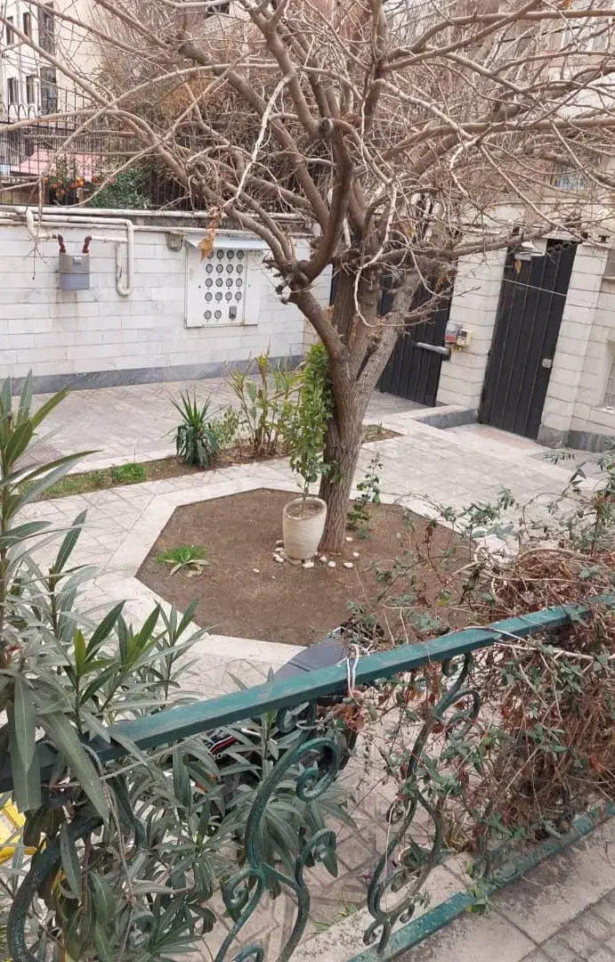 ۵۹متر ۱خواب کرمان رحمتی|فروش آپارتمان|تهران, کرمان|دیوار