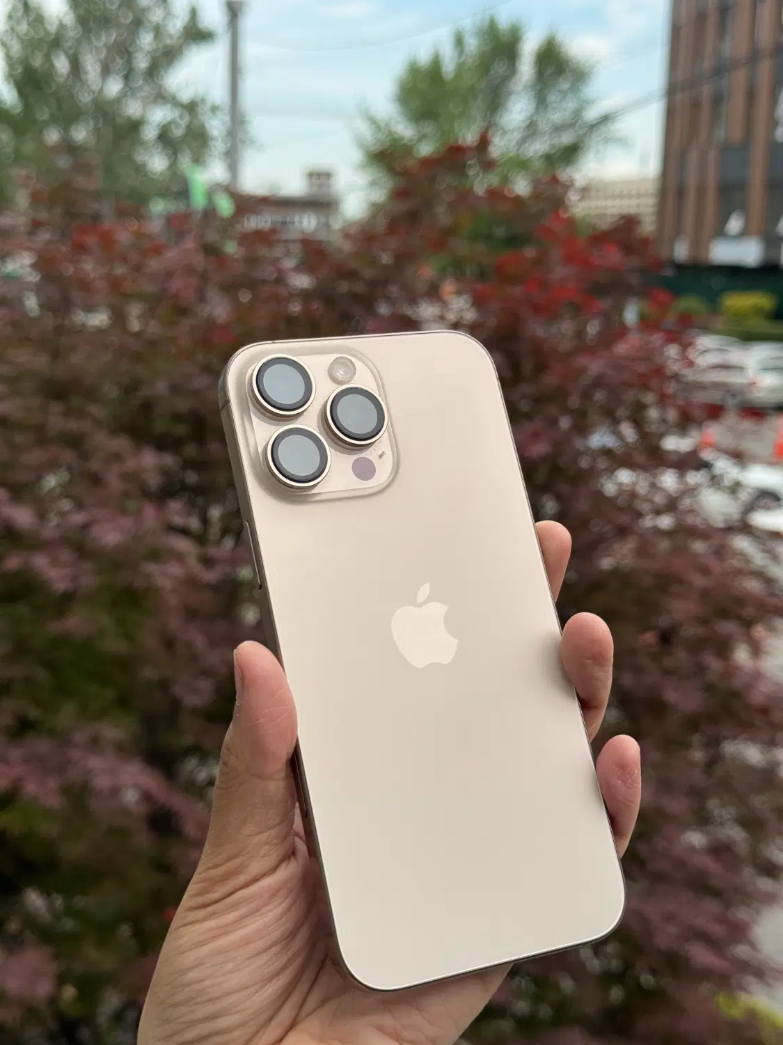 iPhone 16 Promax|موبایل|مشهد, ایثار|دیوار