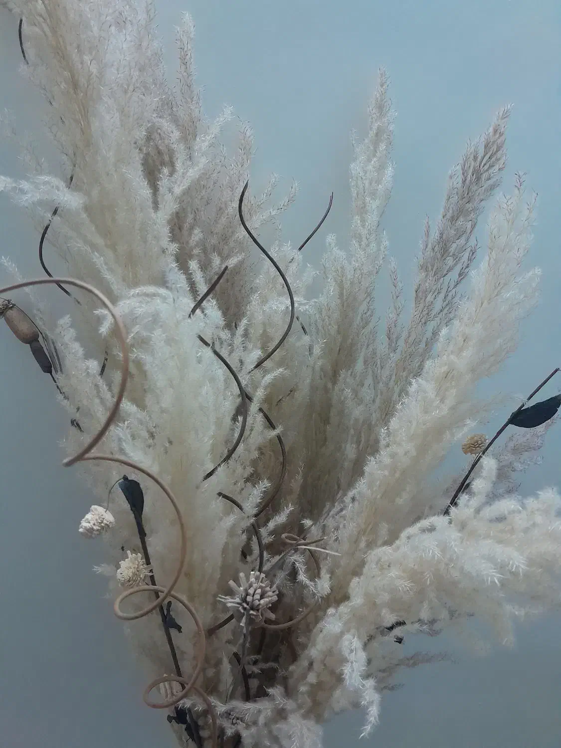 گل مصنوعی|گل مصنوعی|قدس, شهرقدس|دیوار