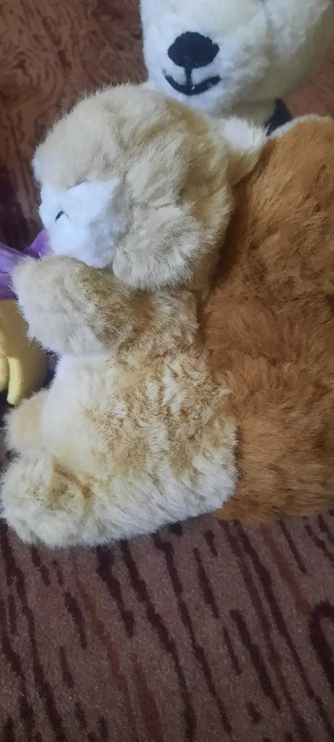 سلام|اسباب‌‌بازی|زابل, |دیوار