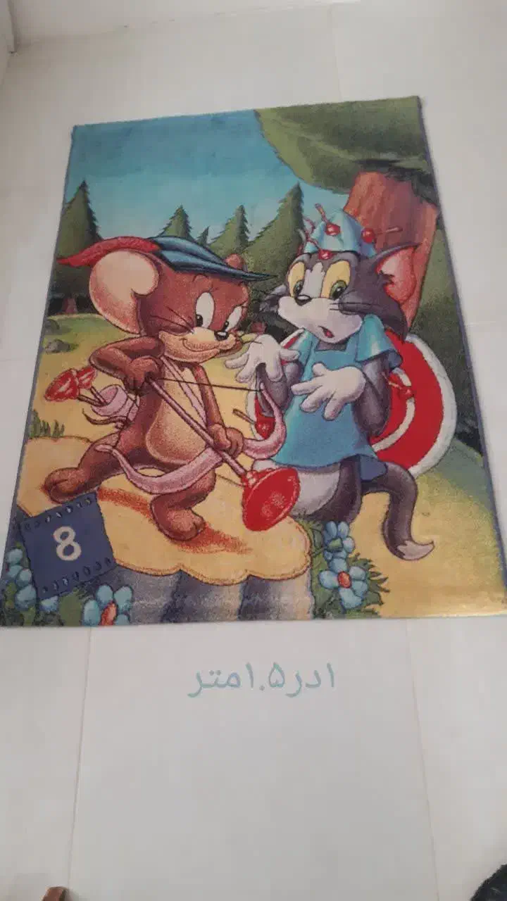 تعدادی قالیچه ودم دری|پادری|مشهد, الهیه|دیوار