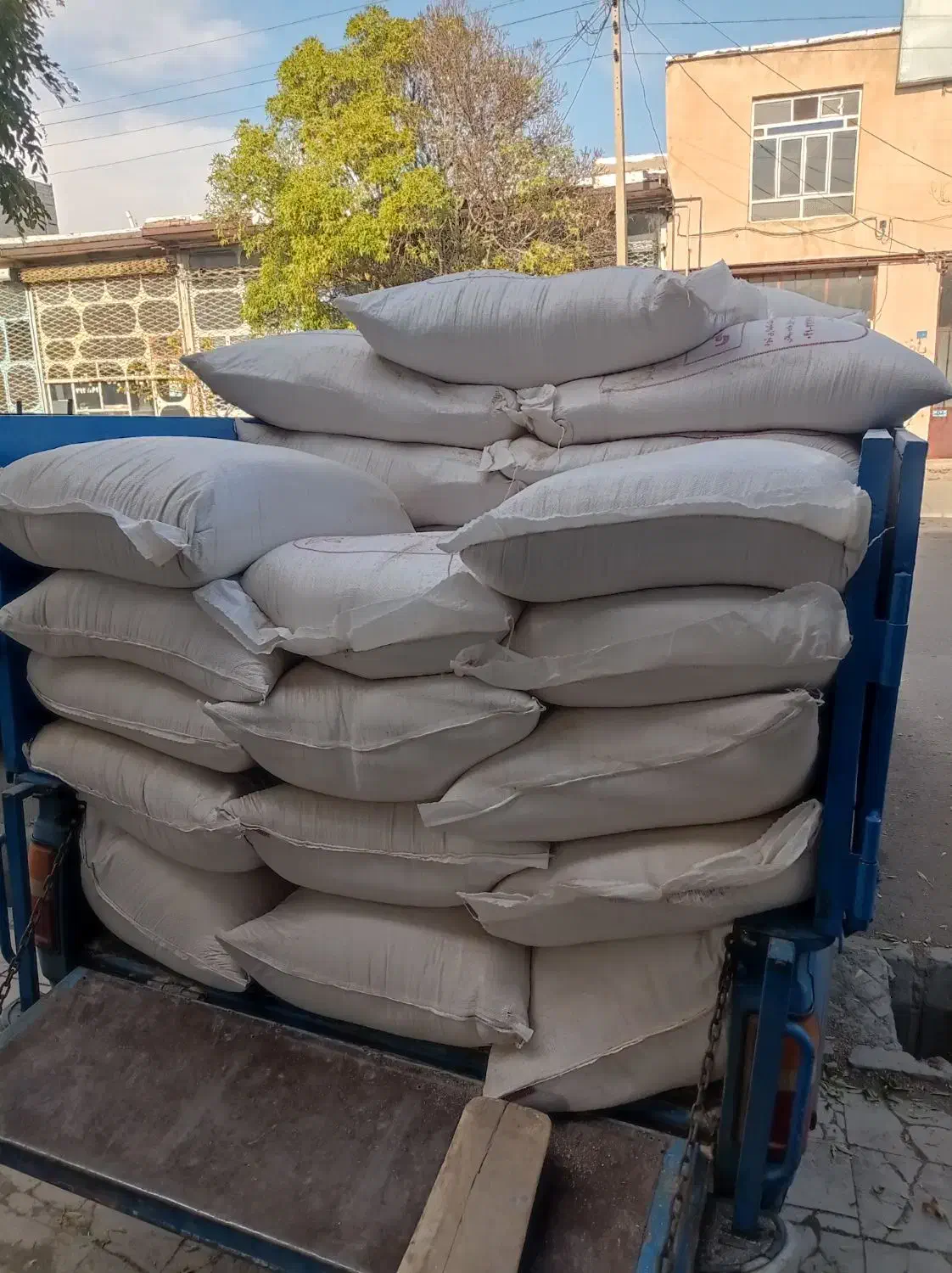 سبوس گندم دامی|خدمات باغبانی و درختکاری|خواجه, |دیوار