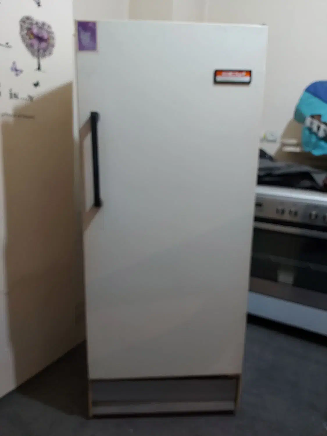 یخچال فریزر ۱۰ فوت ارج|یخچال و فریزر|تهران, انبار نفت|دیوار