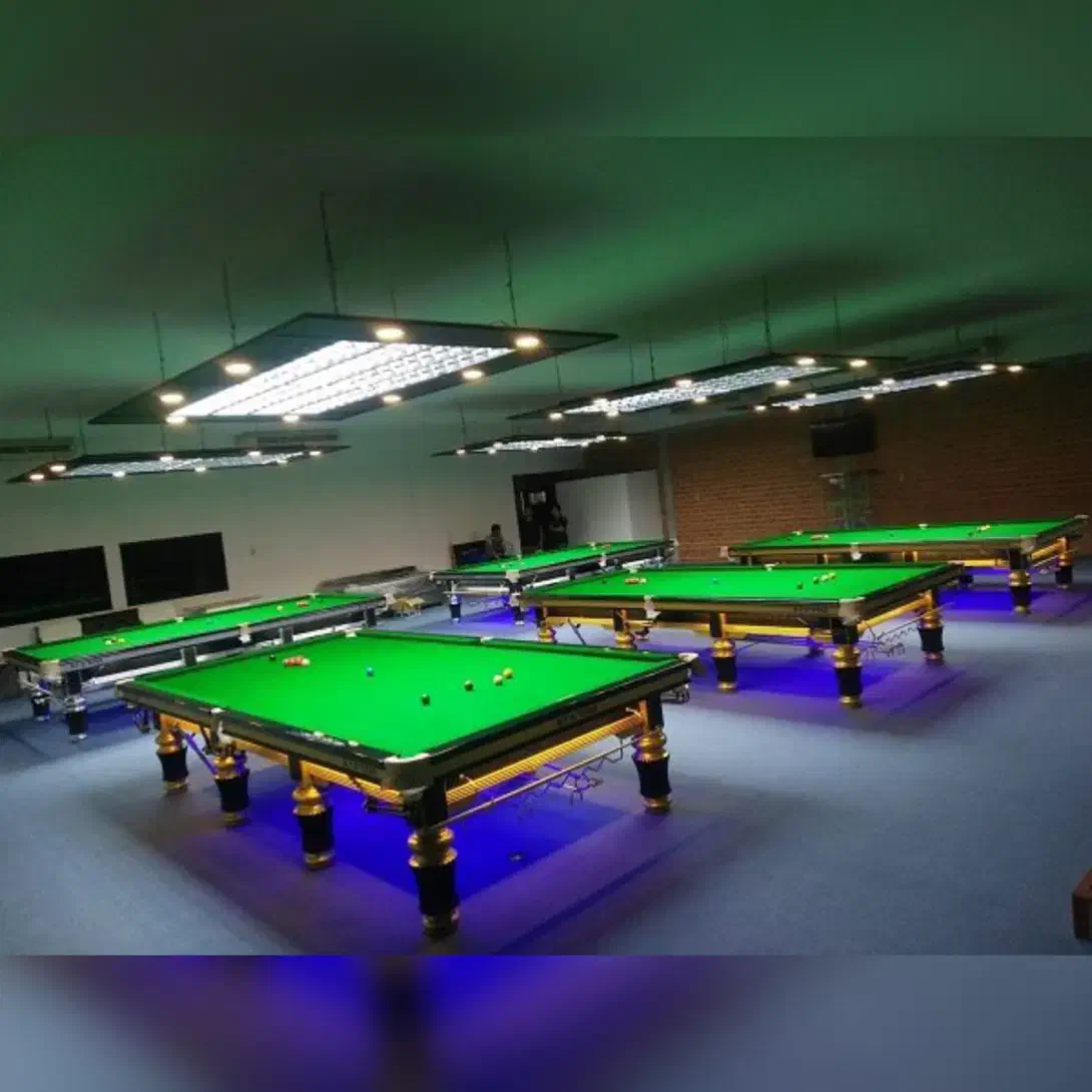 بازیکن بیلیارد|رویداد ورزشی|کرج, گوهردشت|دیوار