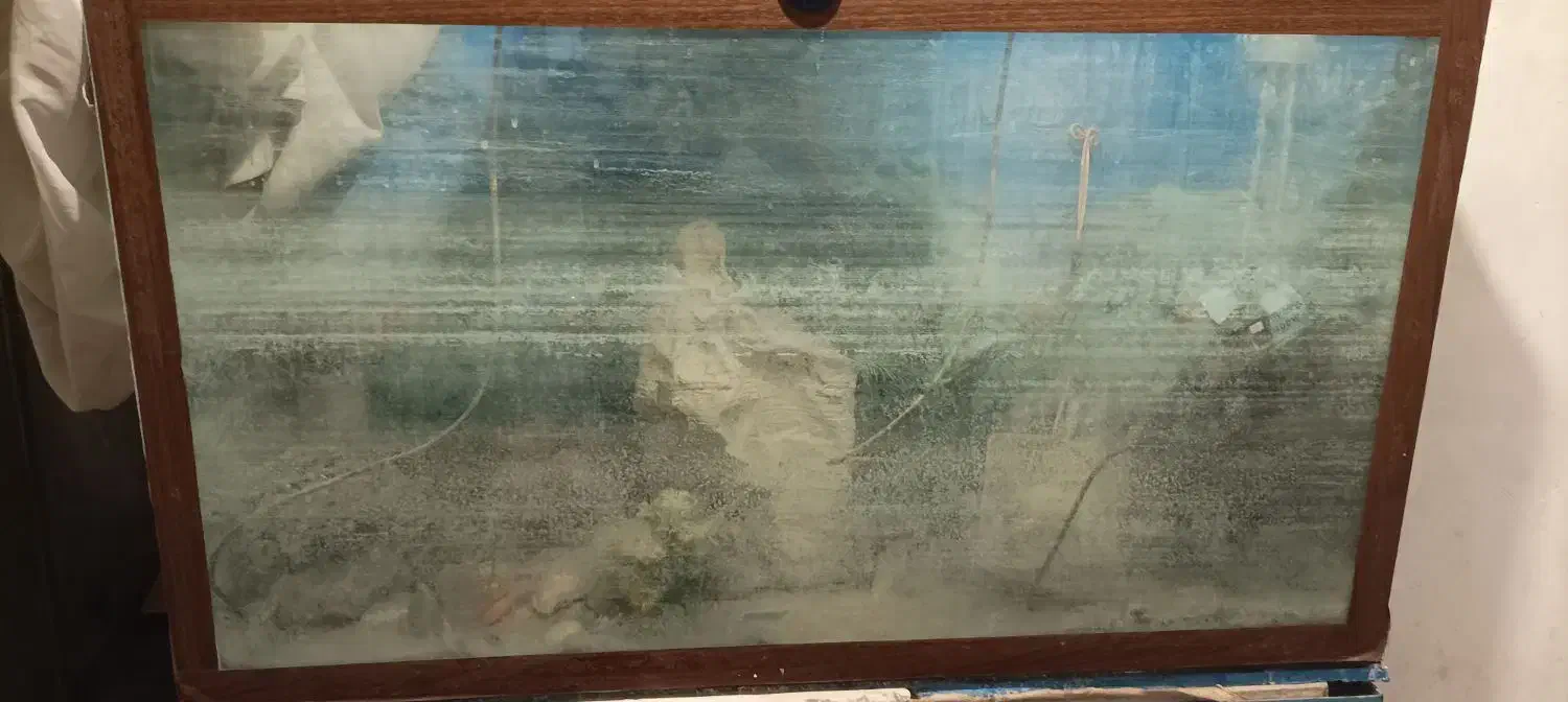 آکواریم|ماهی|زاهدان, |دیوار