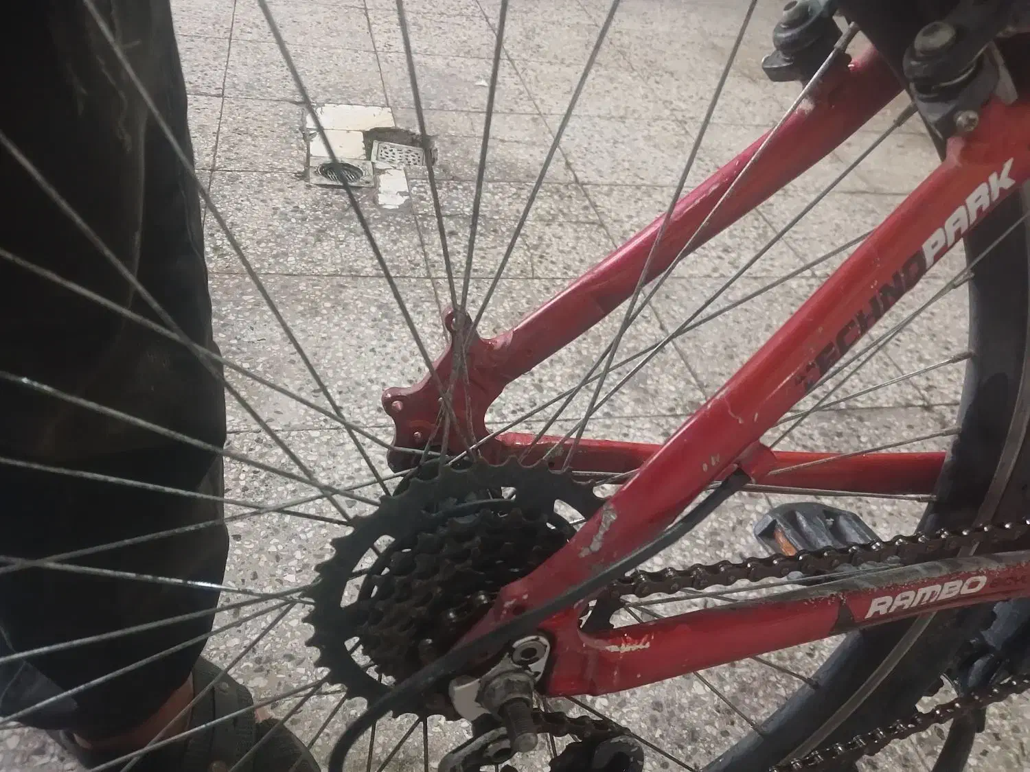 دوچرخه۲۶|دوچرخه، اسکیت، اسکوتر|تربت‌حیدریه, شهرک ولیعصر|دیوار