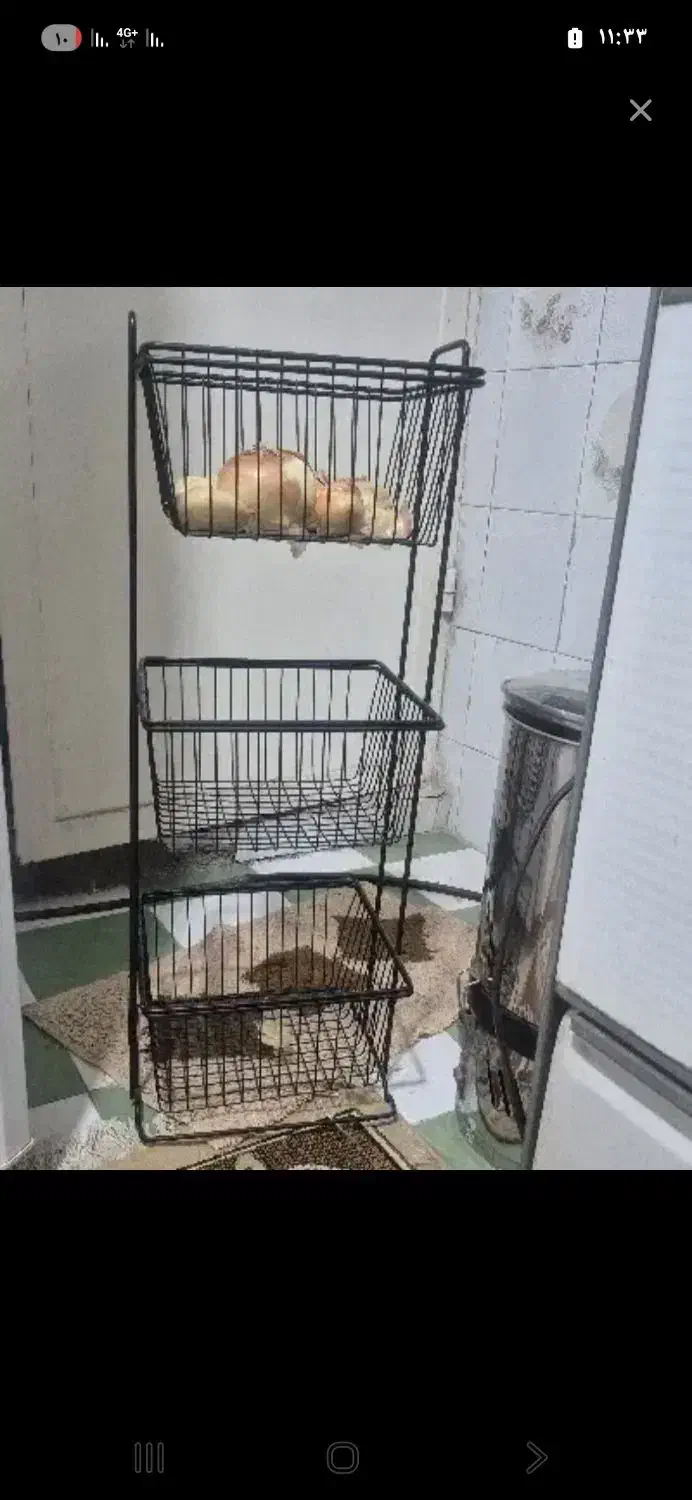 سبد سیب وپیاز|ظروف نگهدارنده، پلاستیکی، یکبارمصرف|مشهد, گوهرشاد|دیوار