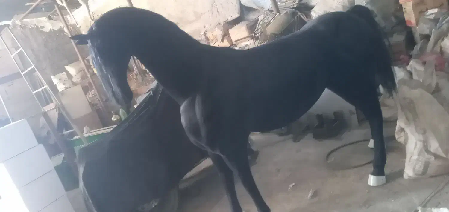 مجسمه اسب|اسب و تجهیزات اسب‌سواری|خاوران, |دیوار