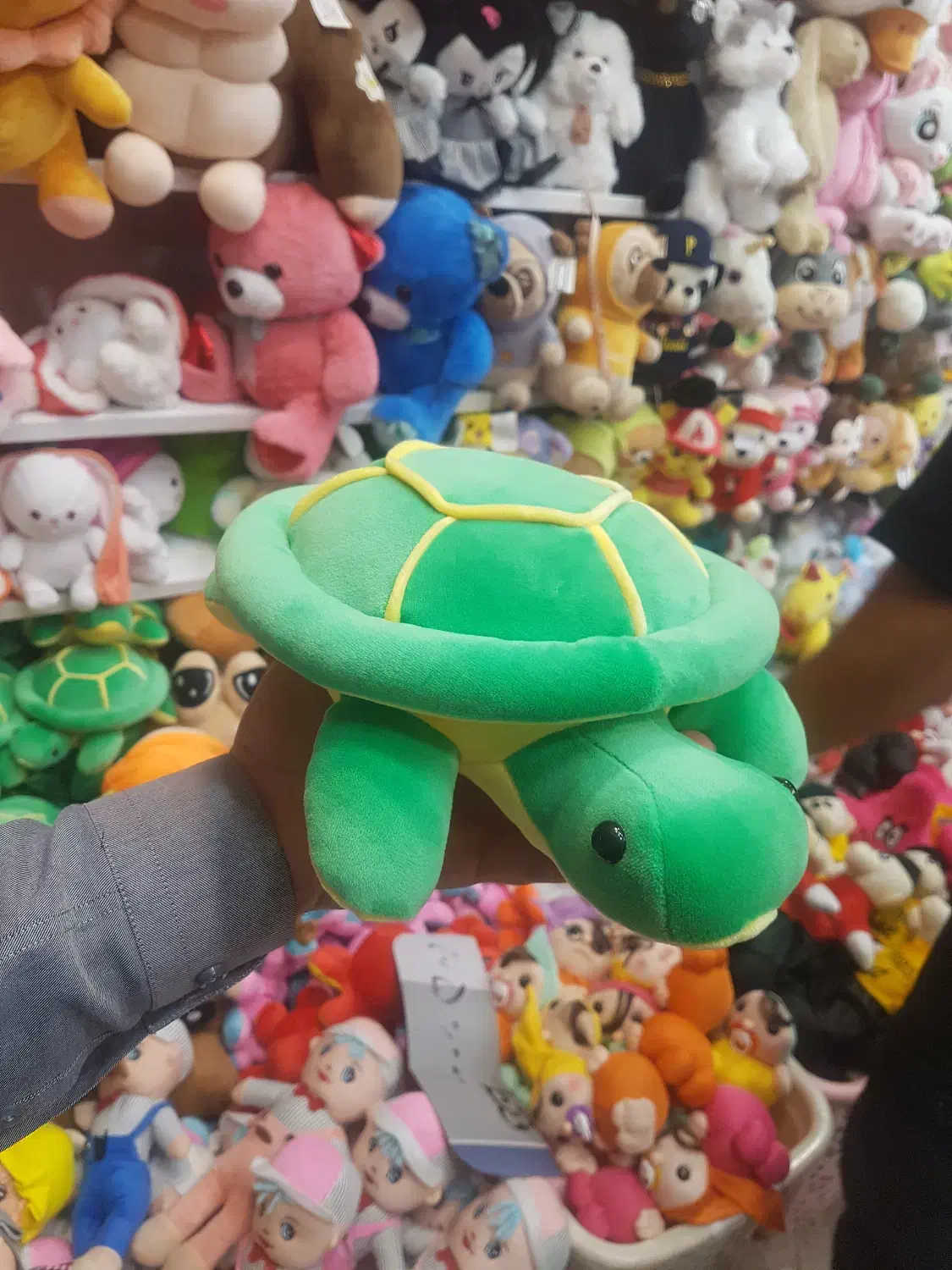 لاکپشت عروسکی|اسباببازی|مشهد, فرهنگ|دیوار