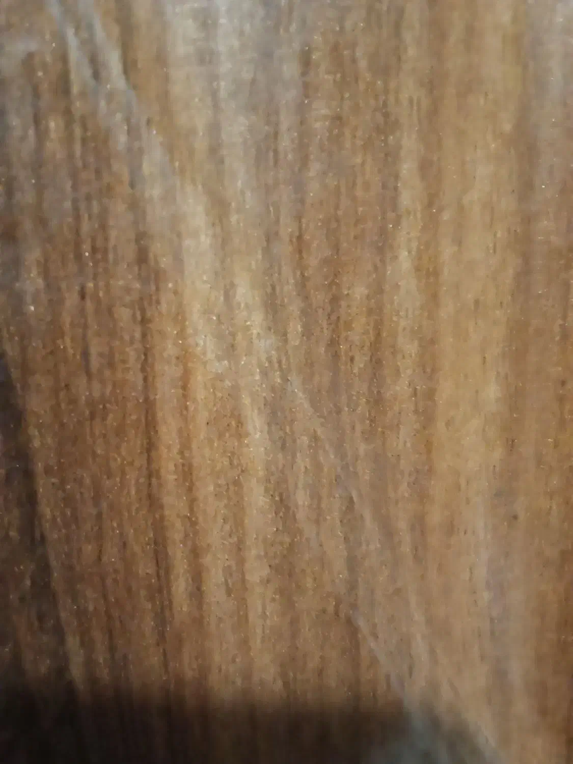 گمشده کیف مردانه|اشیا|تبریز, |دیوار