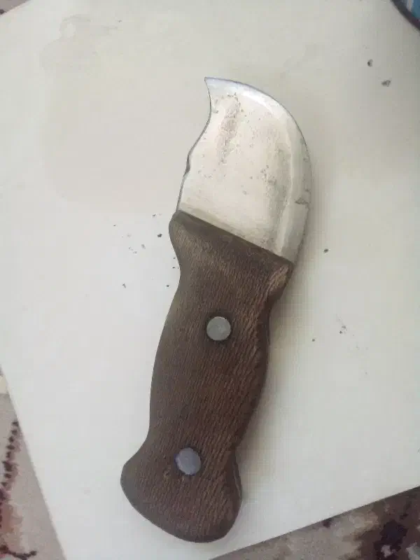 چاقو کپوری|کوهنوردی و کمپینگ|شاهین‌شهر, شهرک گلدیس|دیوار